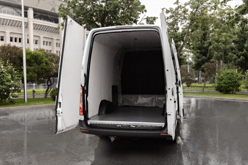 Image MB Sprinter грузопассажирский10