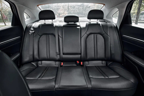 Image Hyundai Sonata с водителем13
